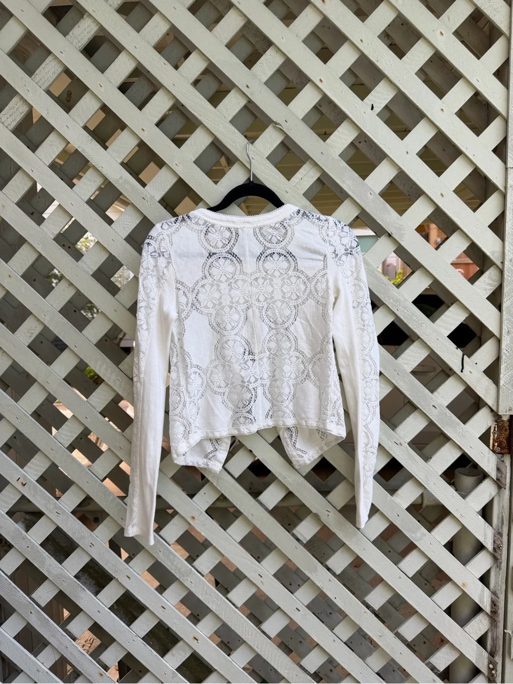 Free people Jae Sheer Lace Knit Long Sleeve Top